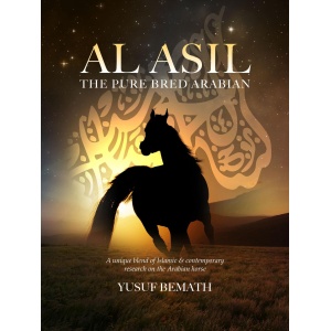 new_book_cover7